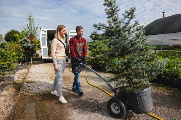 Cheboygan, MI Tree Service Company